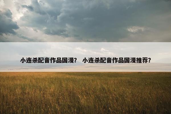 小连杀配音作品国漫？ 小连杀配音作品国漫推荐？