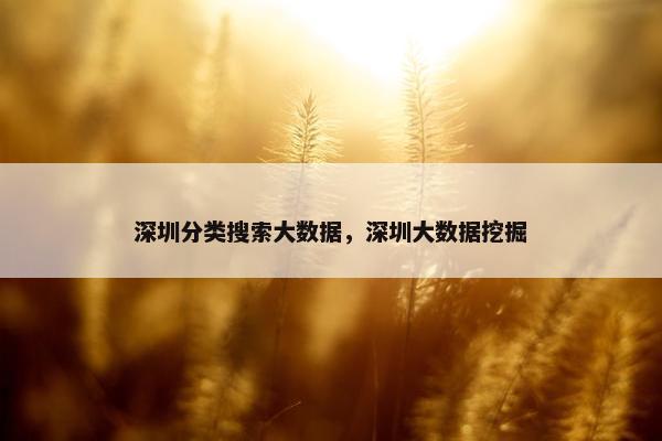 深圳分类搜索大数据，深圳大数据挖掘
