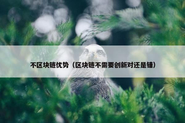 不区块链优势（区块链不需要创新对还是错）