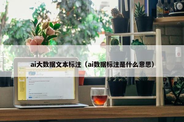 ai大数据文本标注（ai数据标注是什么意思）
