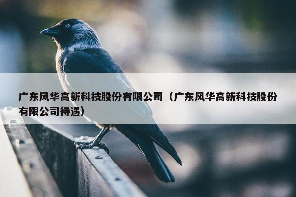广东风华高新科技股份有限公司（广东风华高新科技股份有限公司待遇）