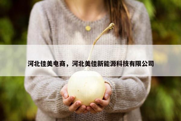 河北佳美电商，河北美佳新能源科技有限公司