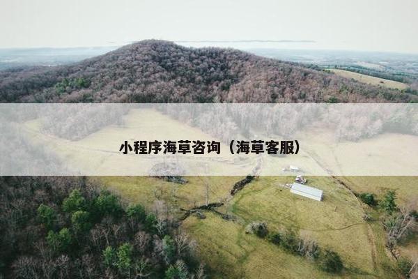 小程序海草咨询（海草客服）