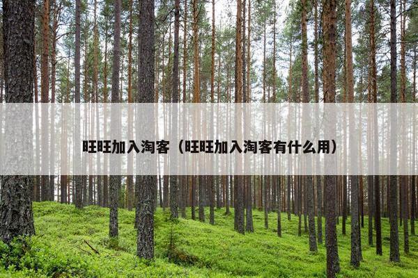 旺旺加入淘客（旺旺加入淘客有什么用）