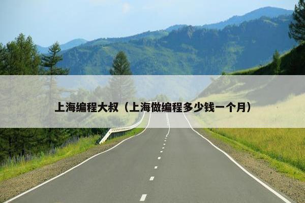上海编程大叔（上海做编程多少钱一个月）