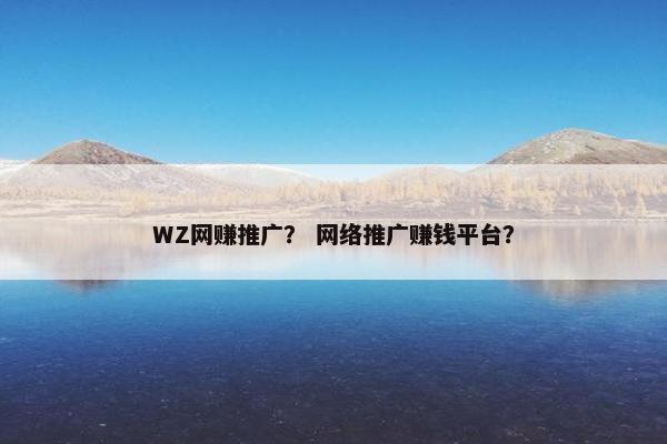 WZ网赚推广？ 网络推广赚钱平台？
