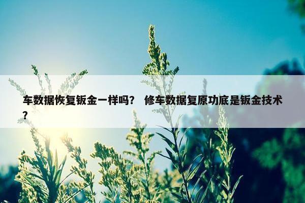 车数据恢复钣金一样吗？ 修车数据复原功底是钣金技术？