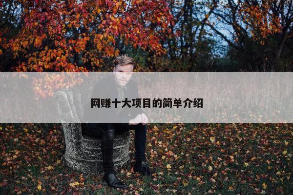 网赚十大项目的简单介绍