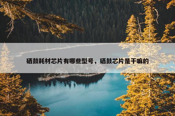 硒鼓耗材芯片有哪些型号，硒鼓芯片是干嘛的