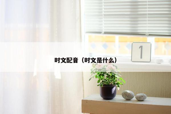 时文配音（时文是什么）