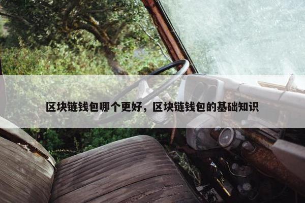区块链钱包哪个更好，区块链钱包的基础知识