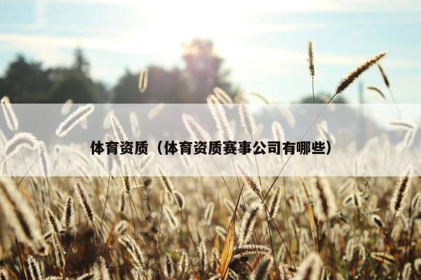 体育资质（体育资质赛事公司有哪些）