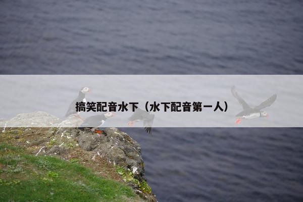 搞笑配音水下（水下配音第一人）