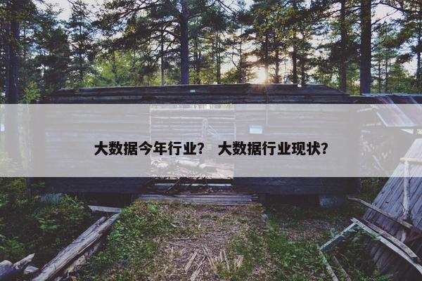 大数据今年行业？ 大数据行业现状？