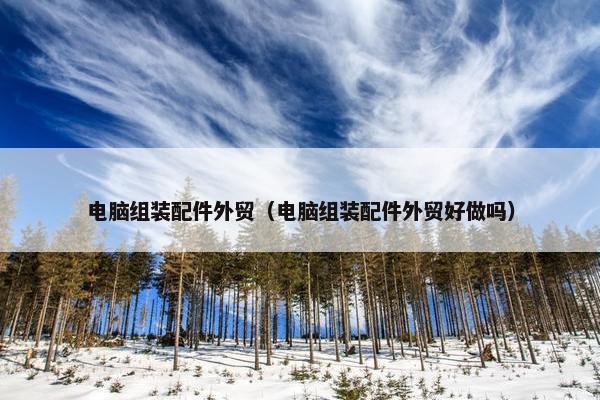 电脑组装配件外贸（电脑组装配件外贸好做吗）