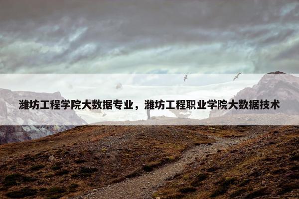 潍坊工程学院大数据专业，潍坊工程职业学院大数据技术