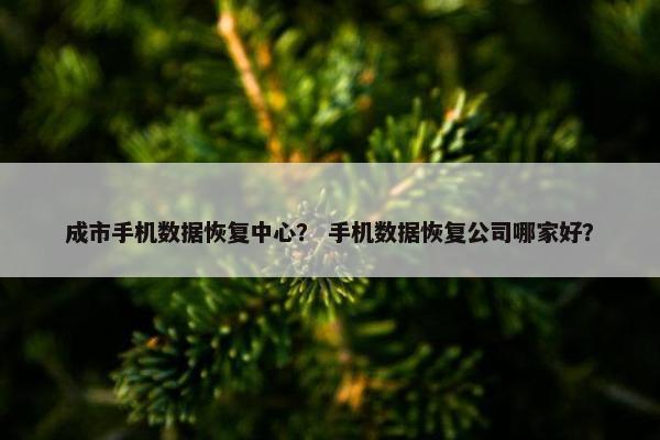 成市手机数据恢复中心？ 手机数据恢复公司哪家好？