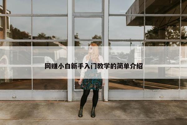 网赚小白新手入门教学的简单介绍