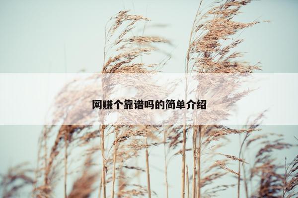 网赚个靠谱吗的简单介绍