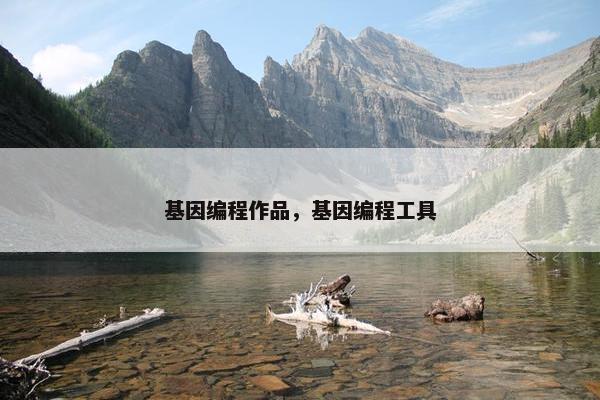 基因编程作品，基因编程工具