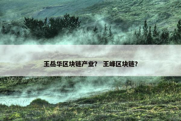 王岳华区块链产业？ 王峰区块链？