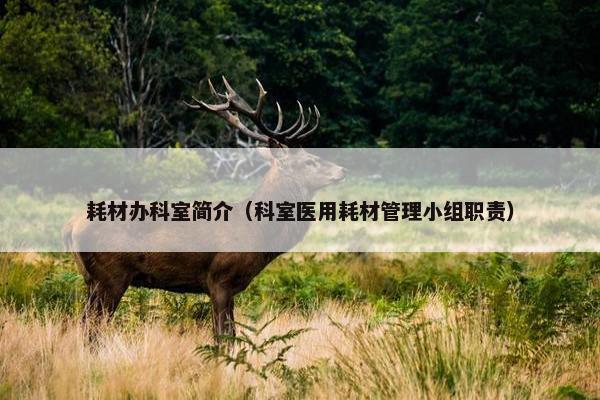耗材办科室简介（科室医用耗材管理小组职责）