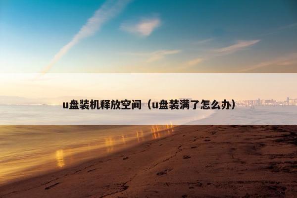 u盘装机释放空间（u盘装满了怎么办）
