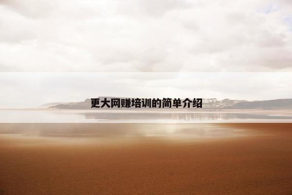 更大网赚培训的简单介绍