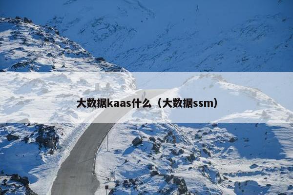 大数据kaas什么（大数据ssm）