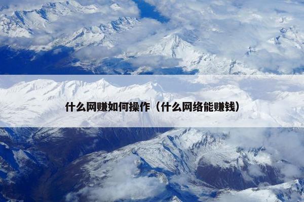 什么网赚如何操作（什么网络能赚钱）