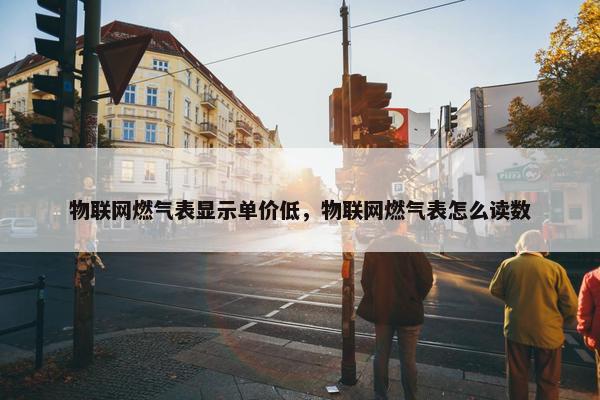 物联网燃气表显示单价低，物联网燃气表怎么读数