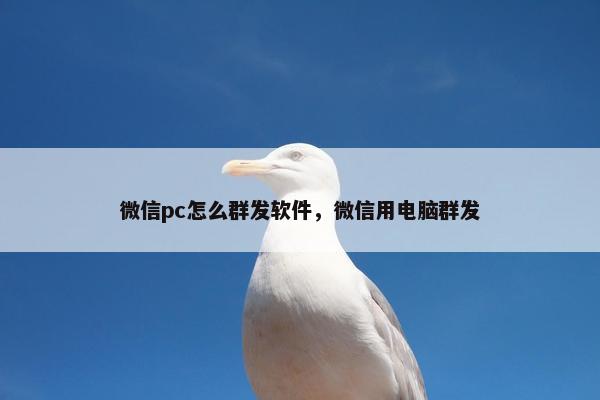 微信pc怎么群发软件，微信用电脑群发