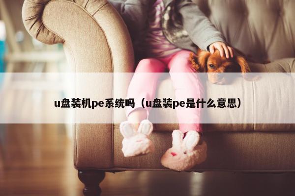 u盘装机pe系统吗（u盘装pe是什么意思）