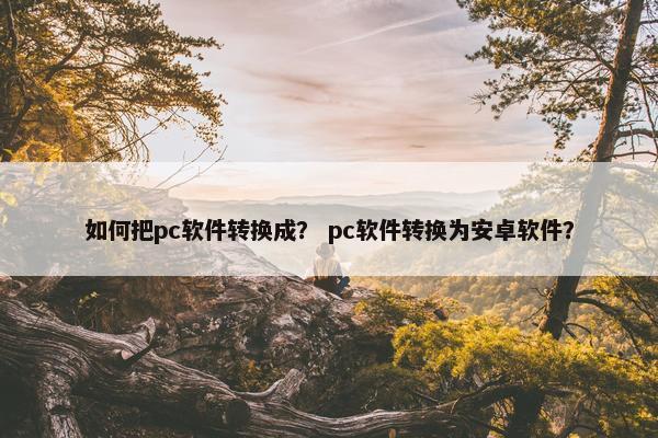如何把pc软件转换成？ pc软件转换为安卓软件？