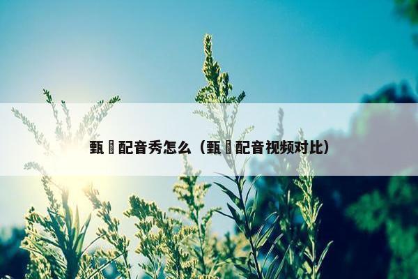 甄嬛配音秀怎么（甄嬛配音视频对比）