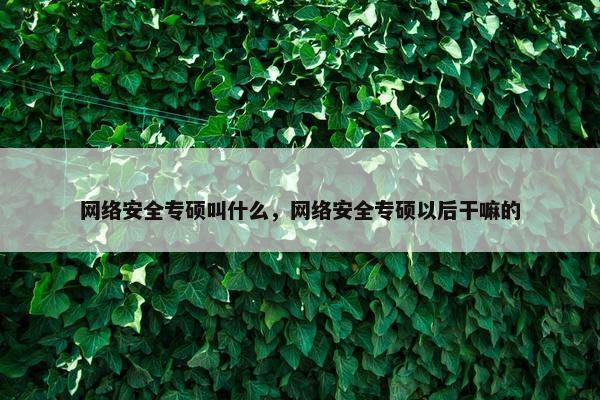 网络安全专硕叫什么，网络安全专硕以后干嘛的