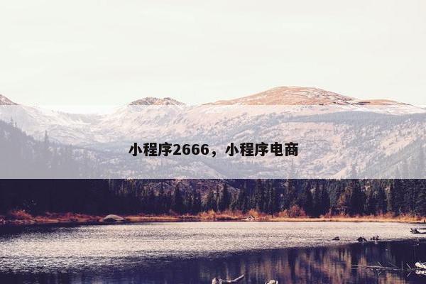 小程序2666，小程序电商