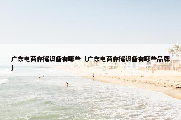 广东电商存储设备有哪些（广东电商存储设备有哪些品牌）