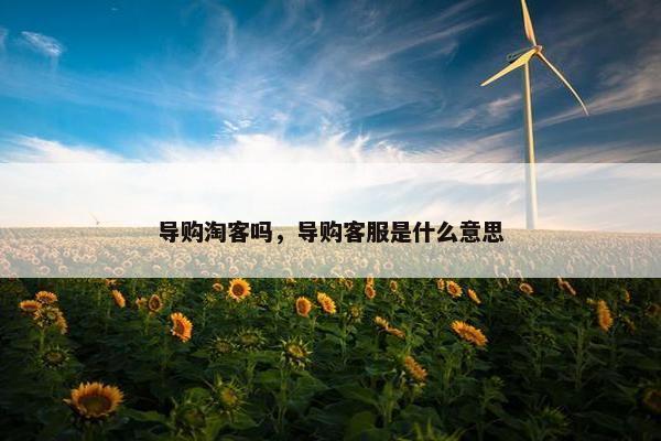 导购淘客吗，导购客服是什么意思