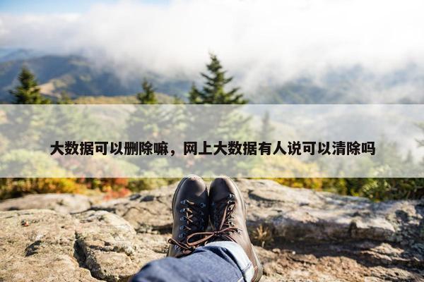 大数据可以删除嘛，网上大数据有人说可以清除吗