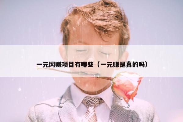 一元网赚项目有哪些（一元赚是真的吗）