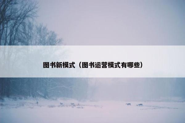 图书新模式（图书运营模式有哪些）