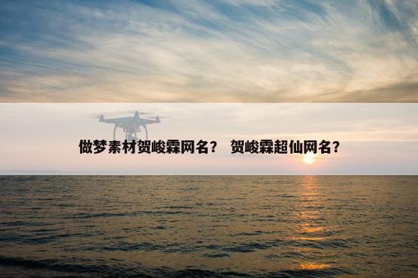 做梦素材贺峻霖网名？ 贺峻霖超仙网名？