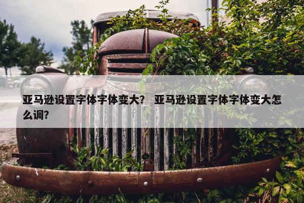 亚马逊设置字体字体变大？ 亚马逊设置字体字体变大怎么调？