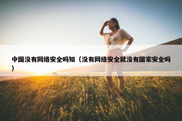 中国没有网络安全吗知（没有网络安全就没有国家安全吗）