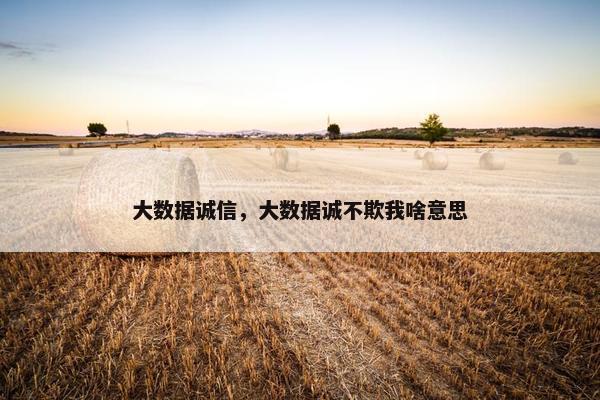 大数据诚信，大数据诚不欺我啥意思