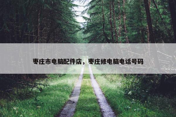 枣庄市电脑配件店，枣庄修电脑电话号码