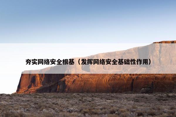 夯实网络安全根基（发挥网络安全基础性作用）