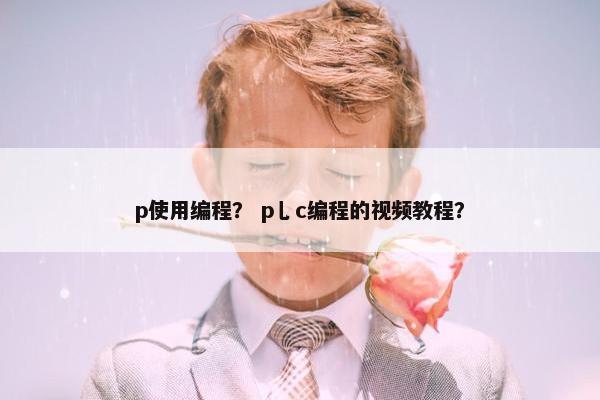 p使用编程？ p乚c编程的视频教程？