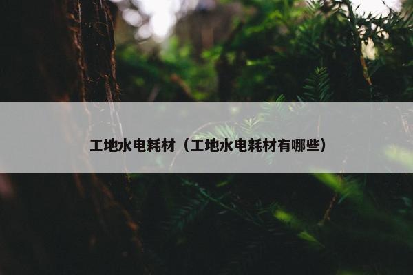 工地水电耗材（工地水电耗材有哪些）